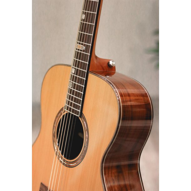 Fonzo V-201C OM Full Body